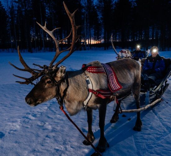 Reindeer Sleigh Ride at Night © apukka resort